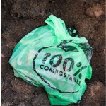 Biodegradable Bags