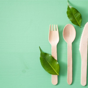 Biodegradable Cutlery