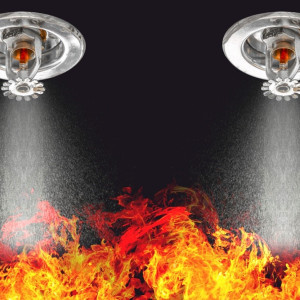 Fire Safety and Management Control