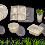 Biodegradable Food Containers