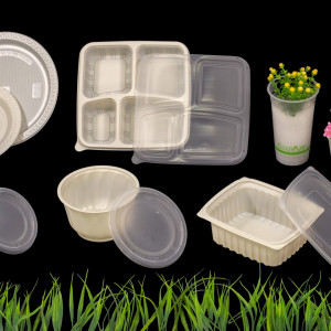 Biodegradable Food Containers