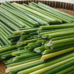 Biodegradable Straws