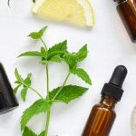Vegan Cosmetics Ingredients