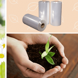 Biodegradable Wraps and Films